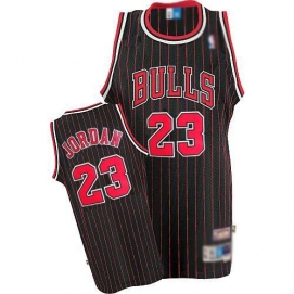 Camiseta AD Chicago Bulls Jordan Hardwood Classic