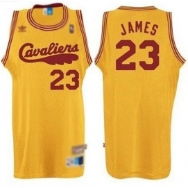 Cleveland Cavaliers James Alternate Shirt