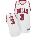 Camiseta Chicago Bulls Wade 1ª Equipación
